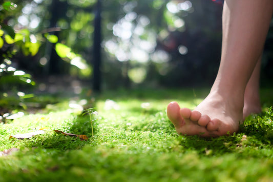 Stress Reduction & Mindfulness: A Path to Inner Peace 🌿🧘♀️