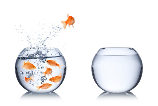 You Are Not Limited—You Are Boundless